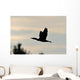 Cormorant in Flight Wall Mural