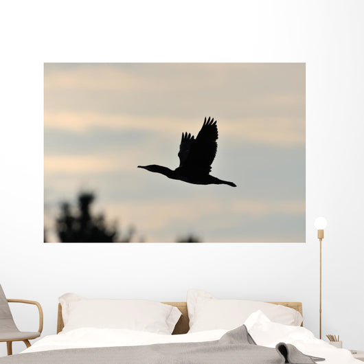Cormorant in Flight Wall Mural