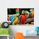 Couple Scarlet Macaw and