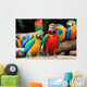 Couple Scarlet Macaw and