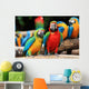Couple Scarlet Macaw and
