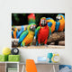 Couple Scarlet Macaw and