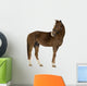 Horse Wall Decal