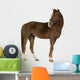 Horse Wall Decal