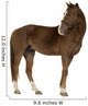 Horse Wall Decal