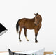Horse Wall Decal