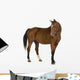 Horse Wall Decal