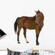 Horse Wall Decal