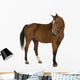 Horse Wall Decal