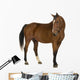 Horse Wall Decal