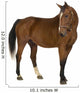 Horse Wall Decal