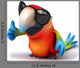 Fun Parrot Wall Decal