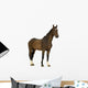 Horse Wall Decal