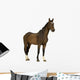 Horse Wall Decal