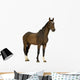 Horse Wall Decal