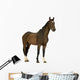 Horse Wall Decal