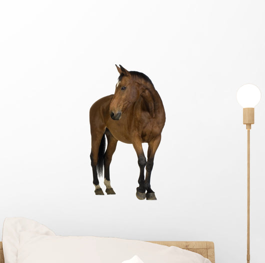 Horse Wall Decal