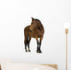 Horse Wall Decal