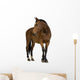 Horse Wall Decal