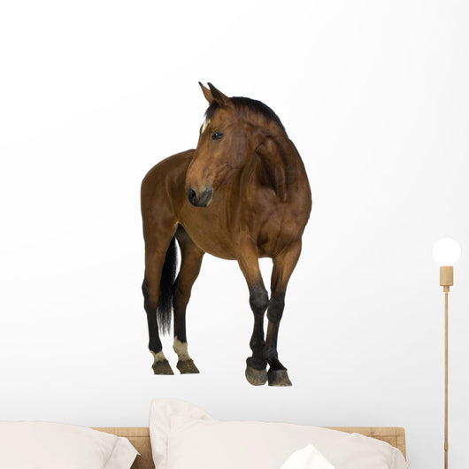 Horse Wall Decal