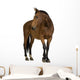 Horse Wall Decal