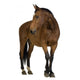 Horse Wall Decal