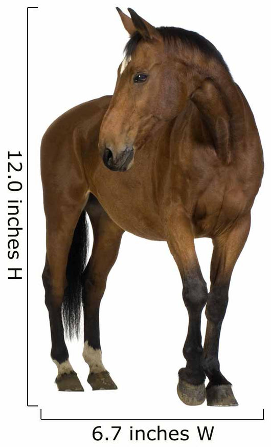 Horse Wall Decal