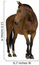 Horse Wall Decal