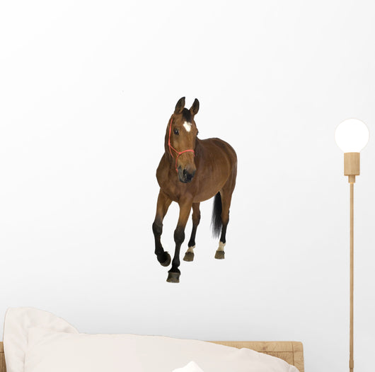 Brown Farm Horse Wall Decal