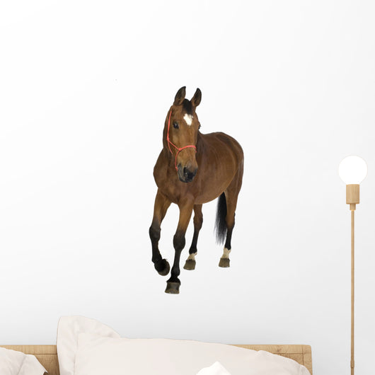 Brown Farm Horse Wall Decal