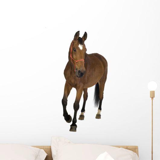 Brown Farm Horse Wall Decal