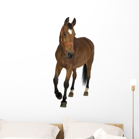 Brown Farm Horse Wall Decal