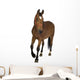 Brown Farm Horse Wall Decal