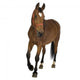 Brown Farm Horse Wall Decal