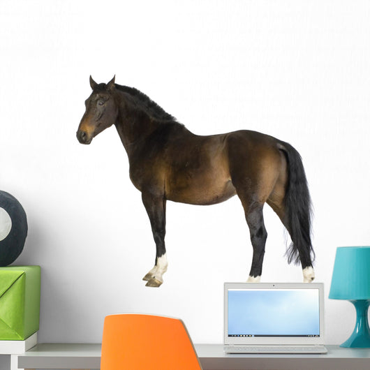 Horse Wall Decal