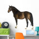 Horse Wall Decal