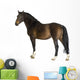 Horse Wall Decal