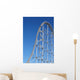 Roller Coaster