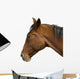 Brown Horse Head Wall Decal