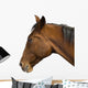 Brown Horse Head Wall Decal