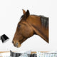 Brown Horse Head Wall Decal