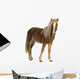 Shetland Pony 2 Years Wall Decal