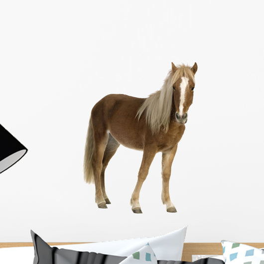Shetland Pony 2 Years Wall Decal