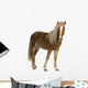 Shetland Pony 2 Years Wall Decal