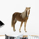 Shetland Pony 2 Years Wall Decal