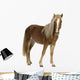 Shetland Pony 2 Years Wall Decal