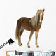 Shetland Pony 2 Years Wall Decal