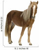 Shetland Pony 2 Years Wall Decal