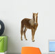 Shetland pony (2 years) Wall Decal
