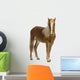 Shetland pony (2 years) Wall Decal